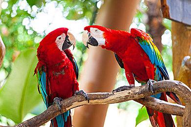 黑暗奇幻冒险游戏《我，审判官》面向各大平台公布